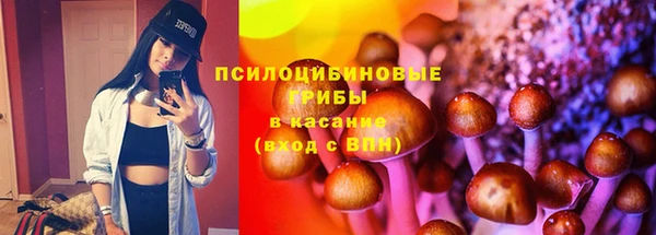 МДПВ Горнозаводск