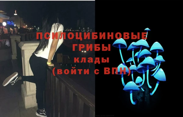 mdpv Горно-Алтайск