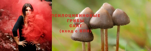 мескалин Горняк