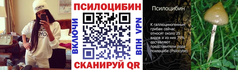 где можно купить   Черемхово  Псилоцибиновые грибы GOLDEN TEACHER 